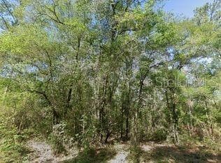 491 E NEMO DR