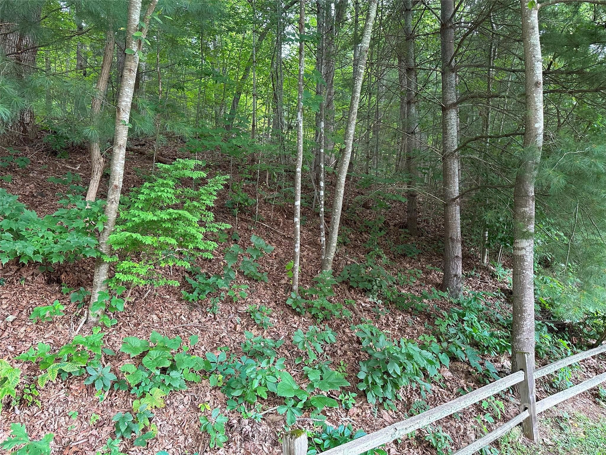 Lot at Waynesville, photo 2 of 7