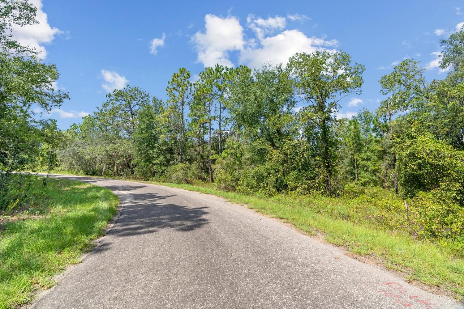 Land at 0024 GUAVA PASS DR, OCKLAWAHA, photo 20 of 24