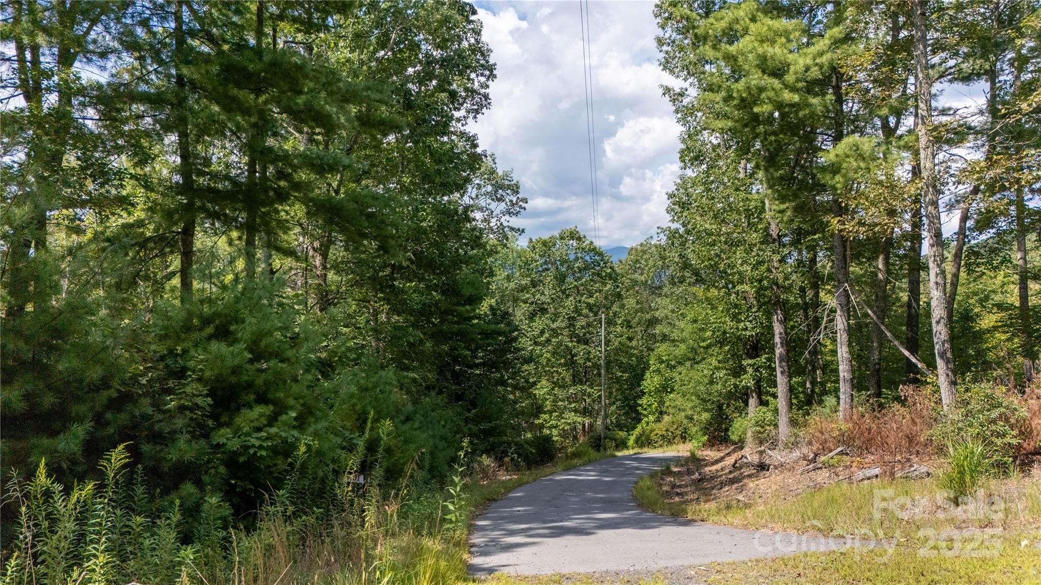 Lot at 0000 Humpback Mountain Road, Spruce Pine, photo 19 of 25