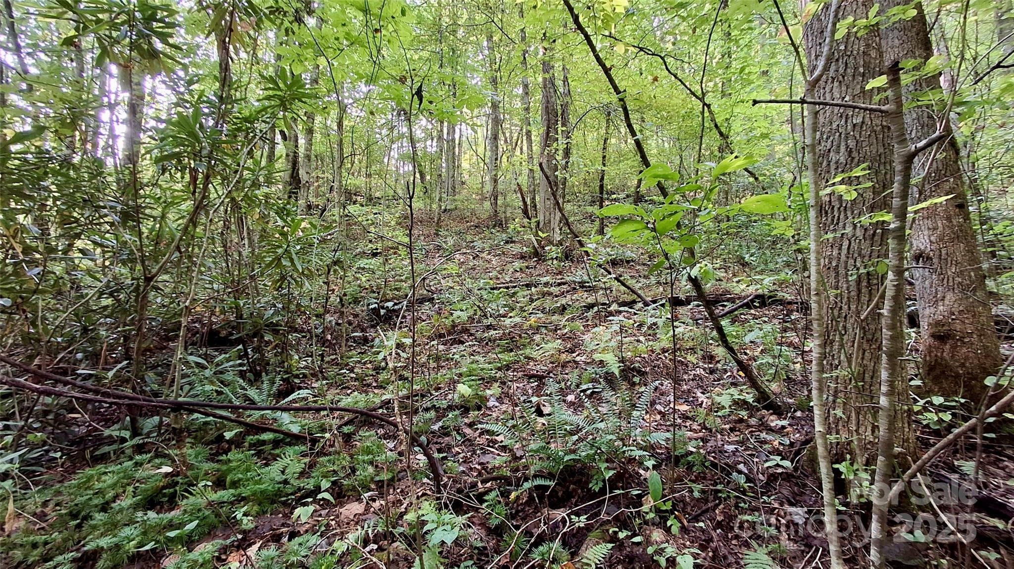 Lot at Sylva, photo 2 of 33
