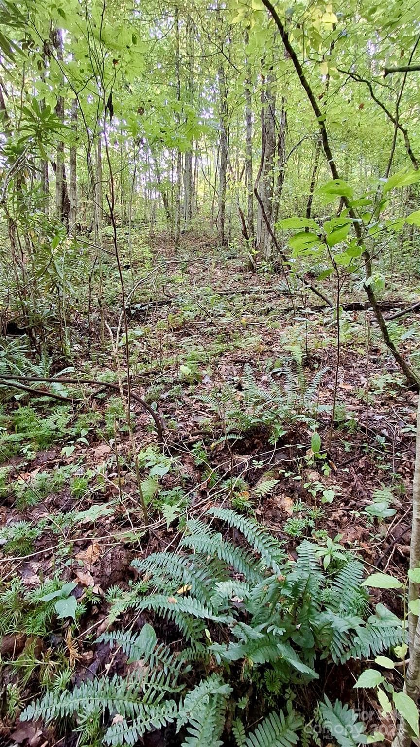 Lot at Sylva, photo 3 of 33