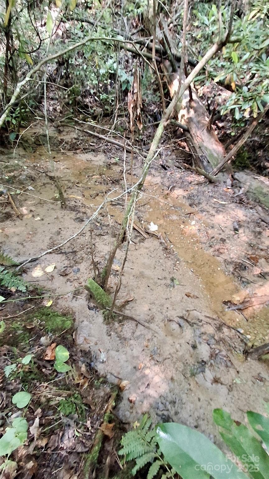 Lot at Sylva, photo 4 of 33