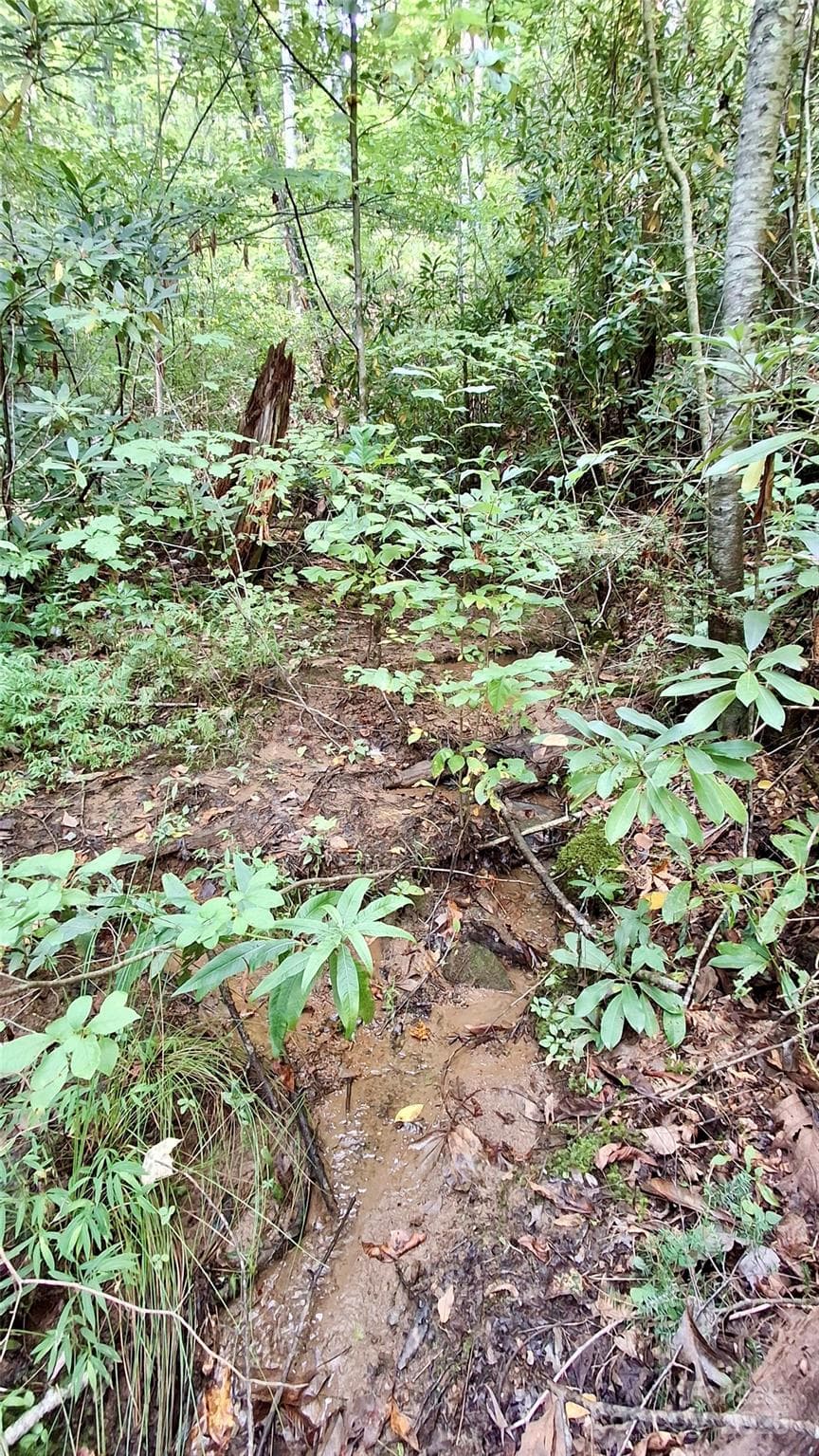 Lot at Sylva, photo 6 of 33