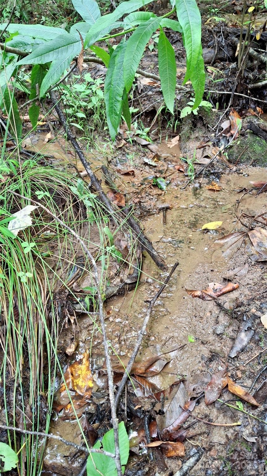 Lot at Sylva, photo 7 of 33