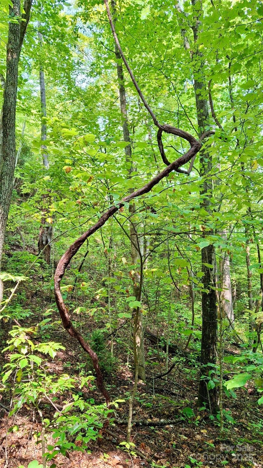 Lot at Sylva, photo 8 of 33