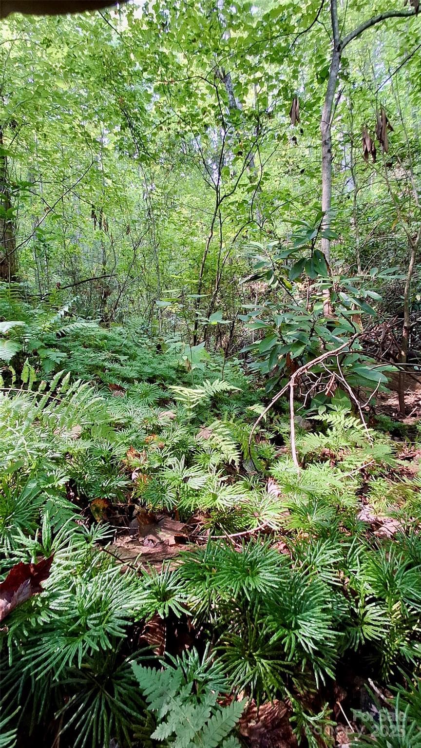 Lot at Sylva, photo 9 of 33