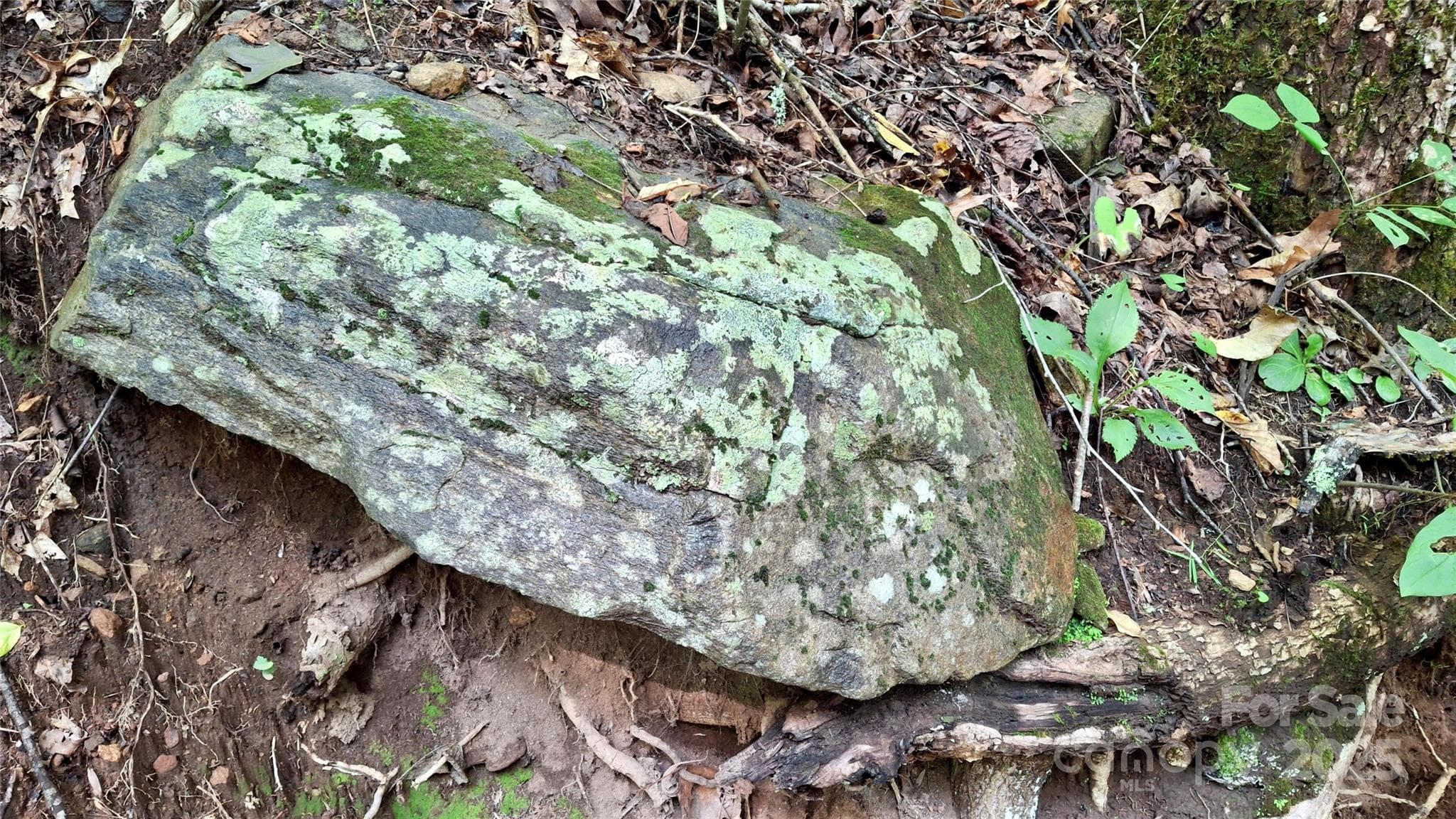 Lot at Sylva, photo 12 of 33