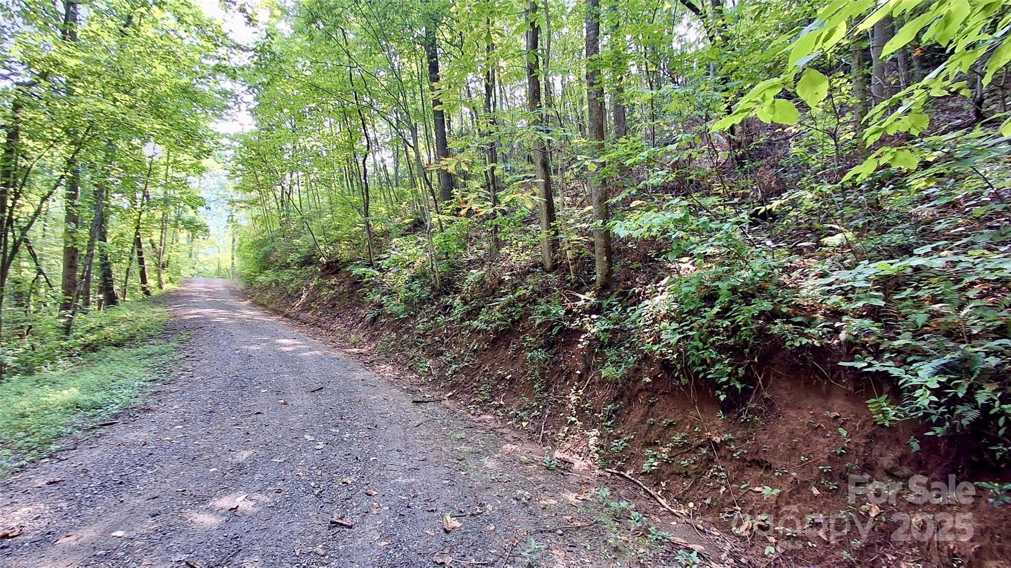 Lot at Sylva, photo 14 of 33