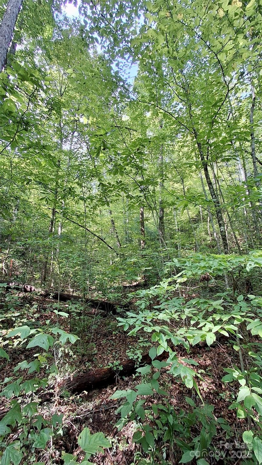 Lot at Sylva, photo 17 of 33