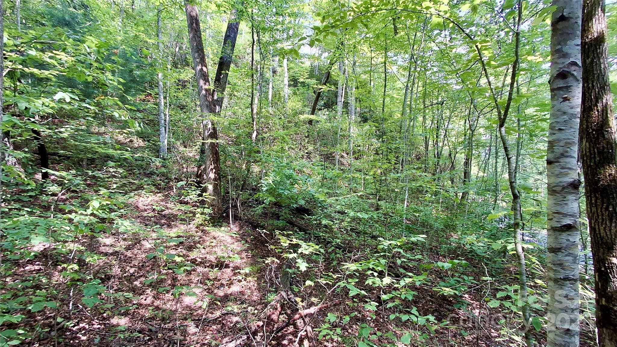 Lot at Sylva, photo 20 of 33