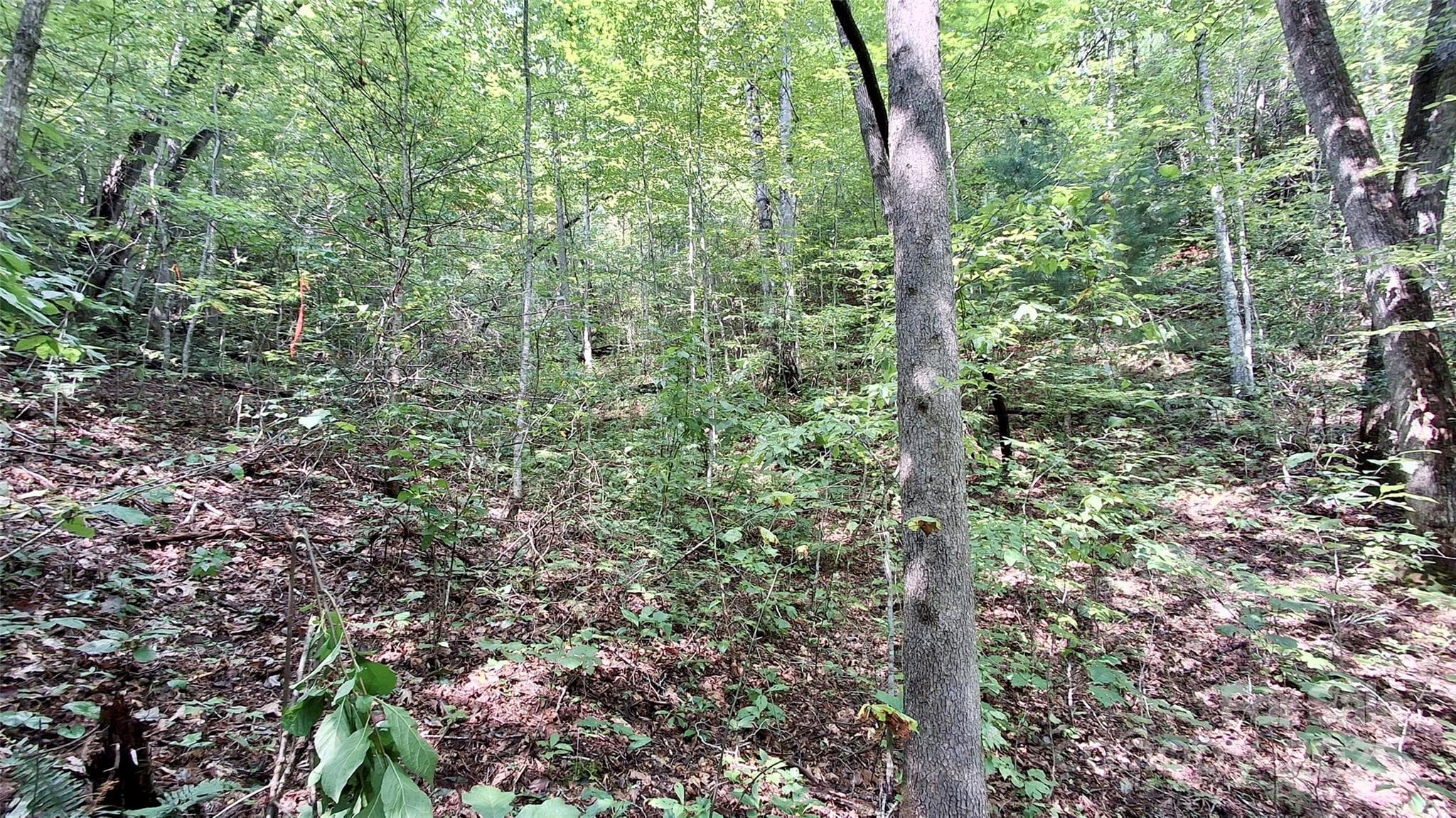Lot at Sylva, photo 21 of 33