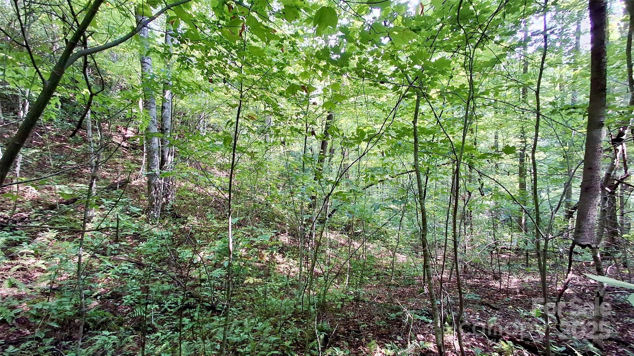 Lot at Sylva, photo 22 of 33