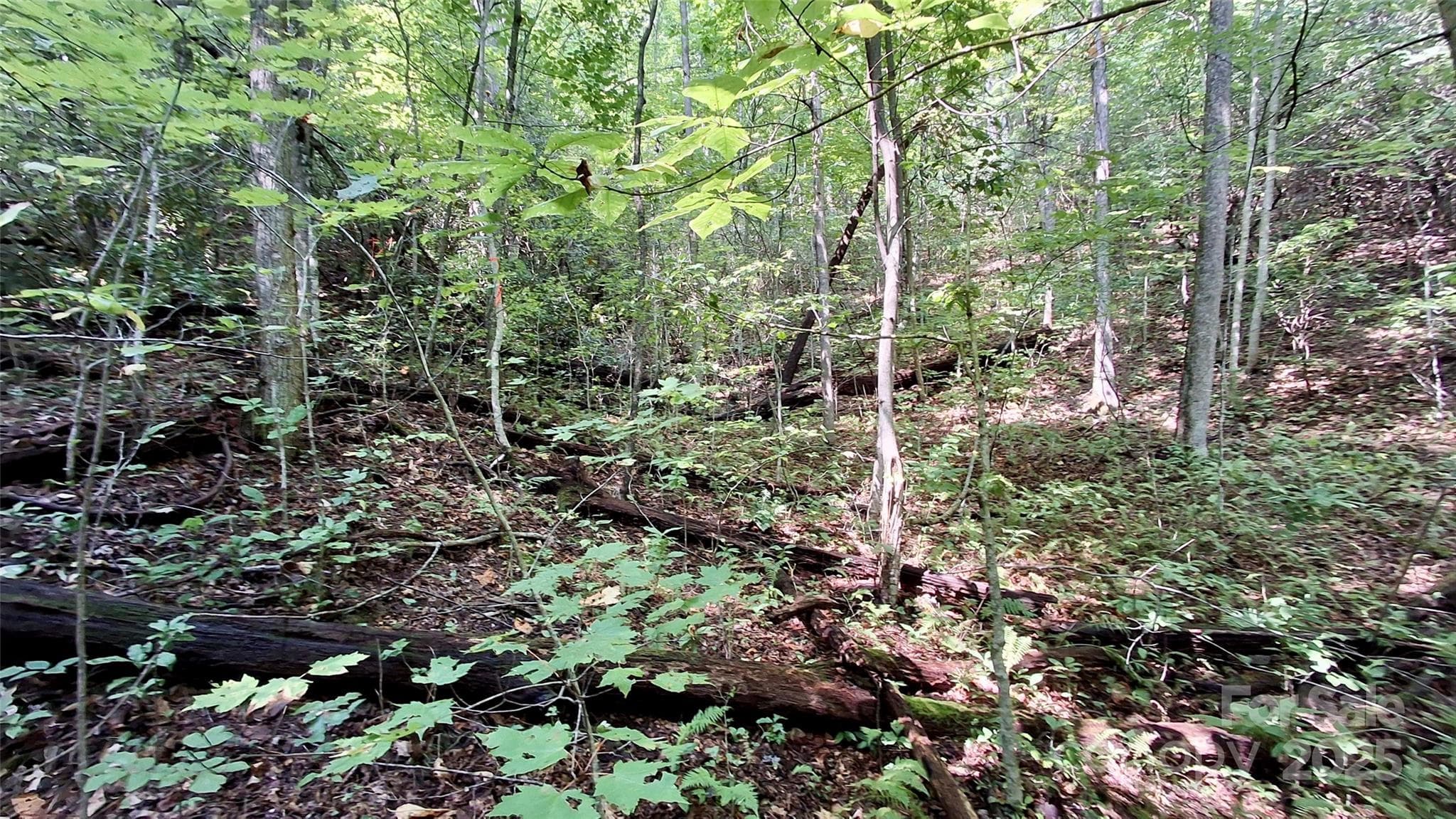 Lot at Sylva, photo 26 of 33