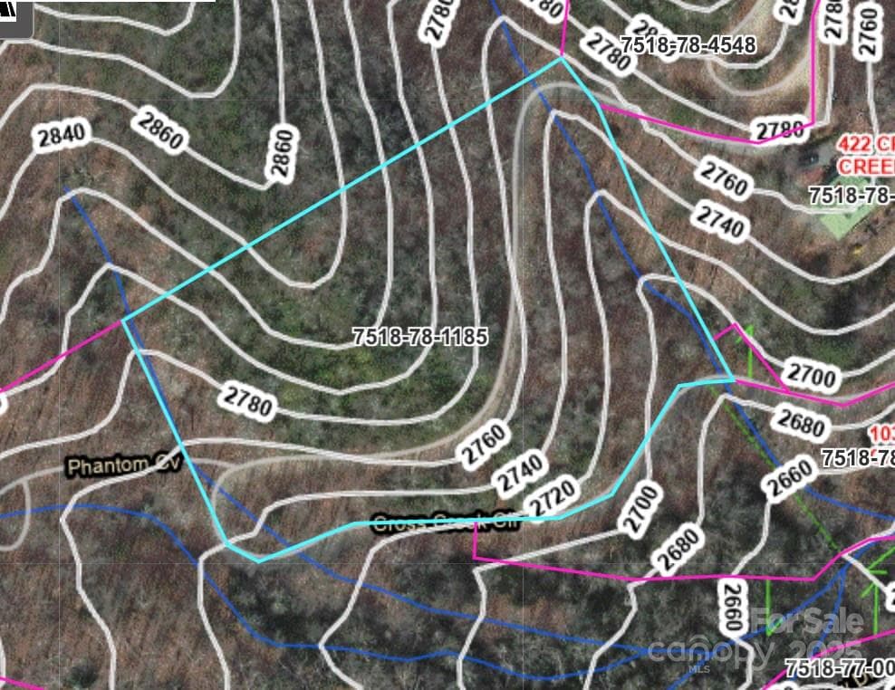 Aerial with topo - Sylva