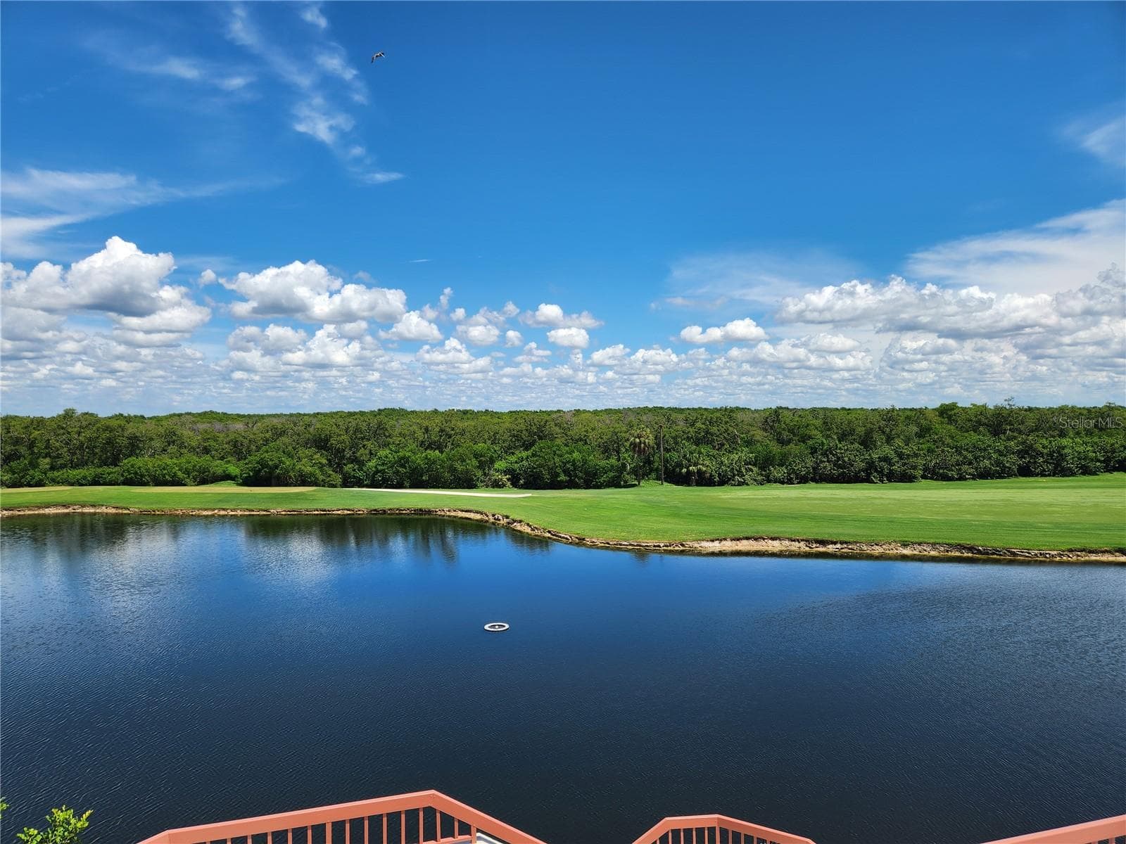 Condominium at 2333 FEATHER SOUND DR #B307, CLEARWATER, photo 66 of 66