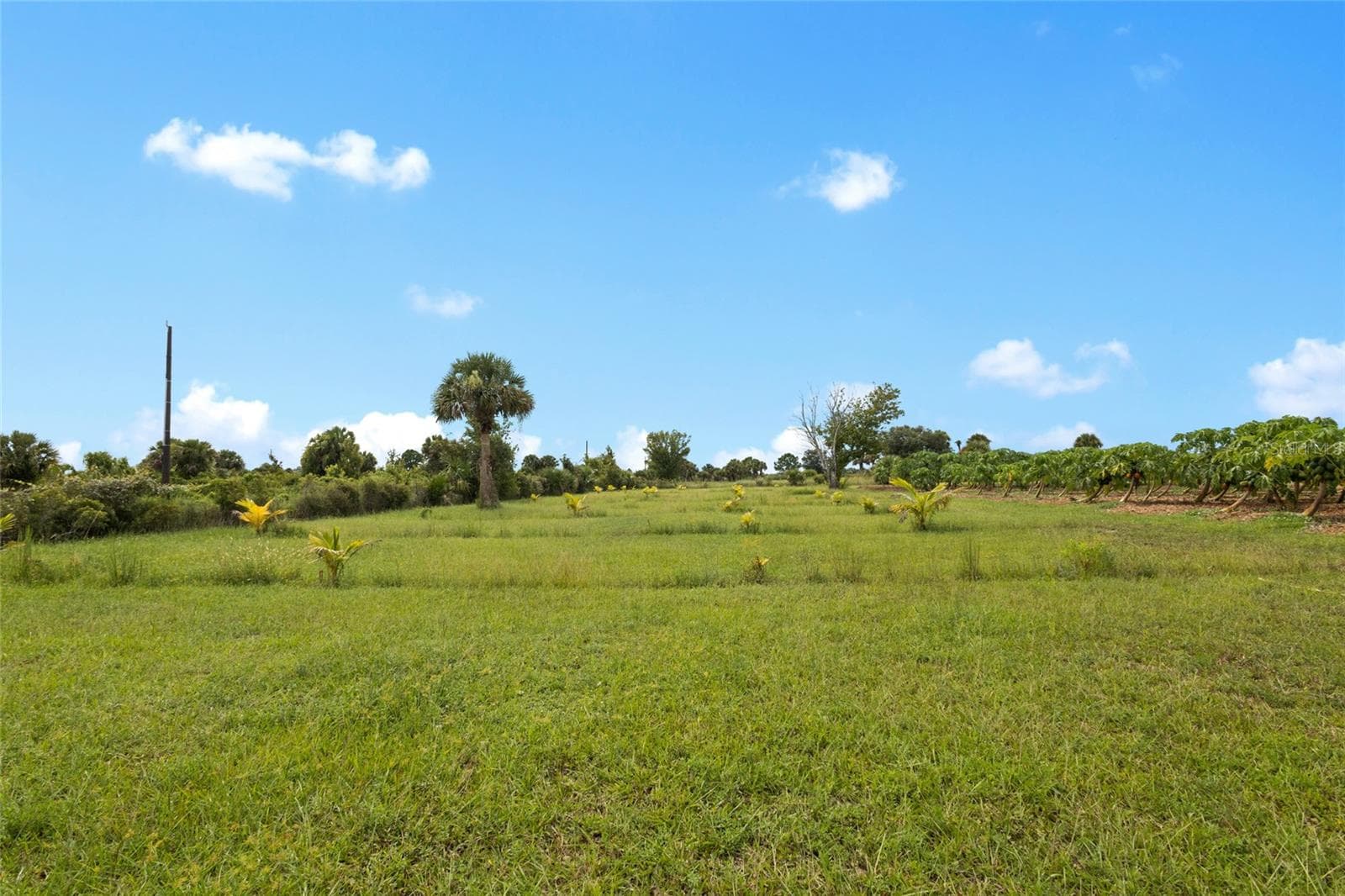 Land at 20914 NW 280TH ST, OKEECHOBEE, photo 23 of 44