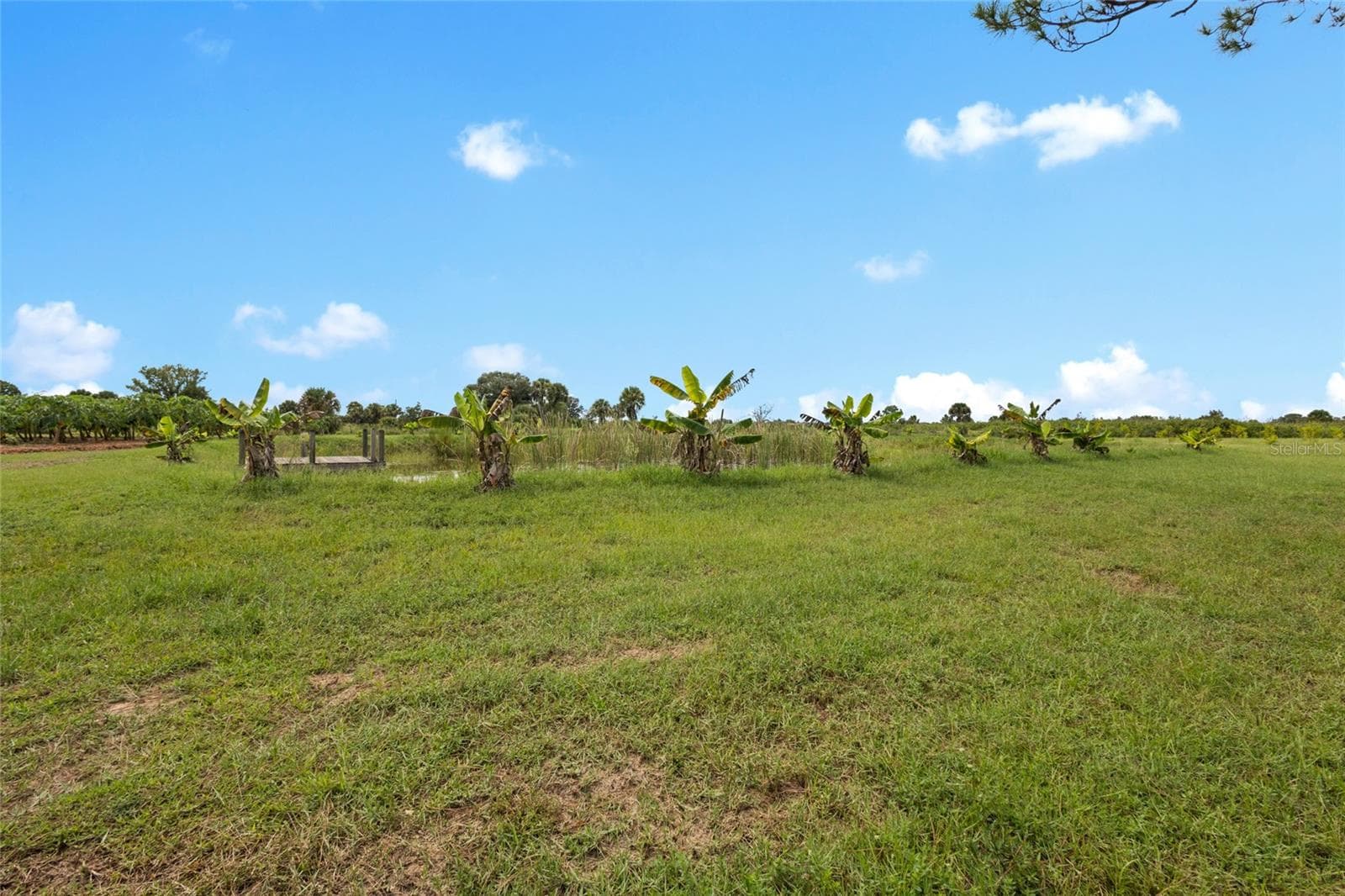 Land at 20914 NW 280TH ST, OKEECHOBEE, photo 24 of 44