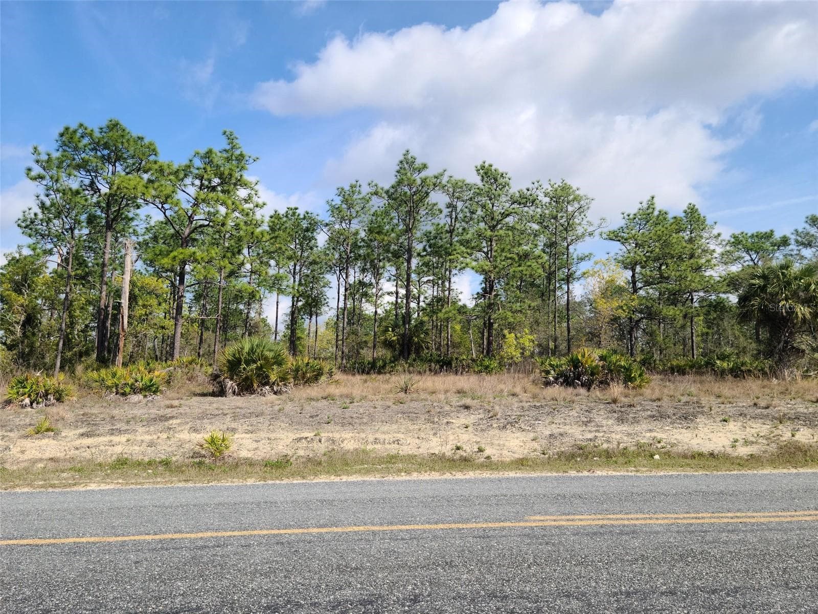 Land at 12121 THRASHER AVE, WEEKI WACHEE, photo 2 of 6