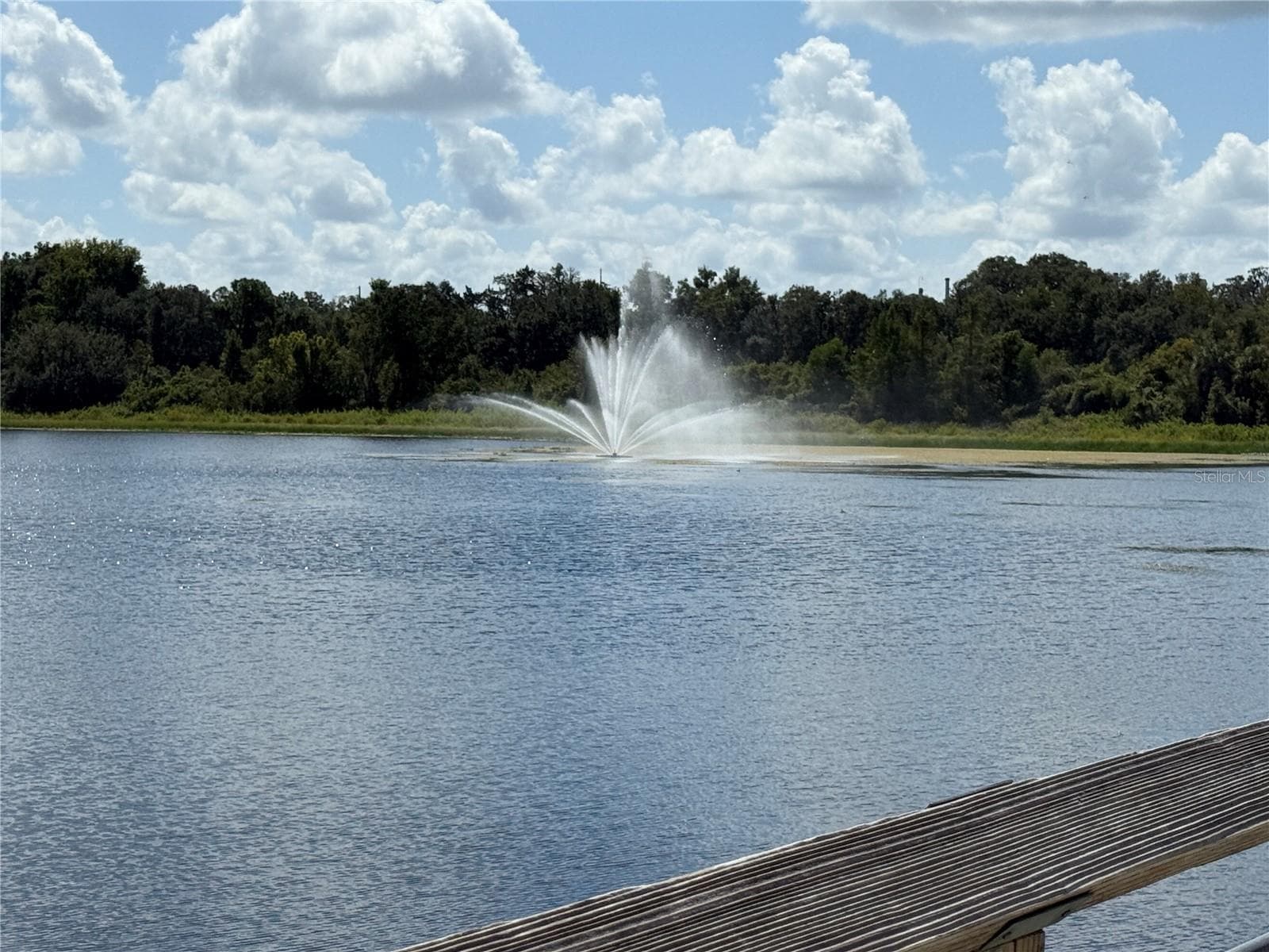 Inverness - Cooter Pond Park - 9339 N MILAM WAY, CITRUS SPRINGS
