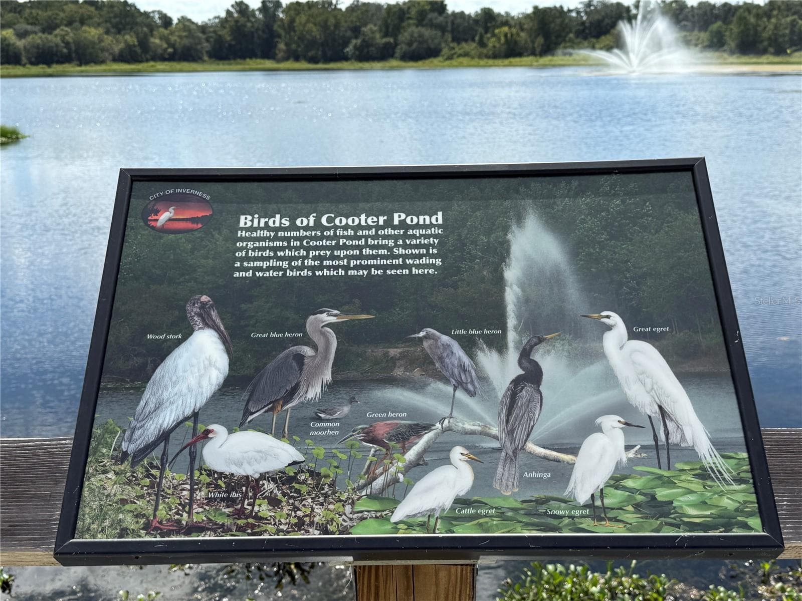 Inverness - Cooter Pond Park - 9339 N MILAM WAY, CITRUS SPRINGS