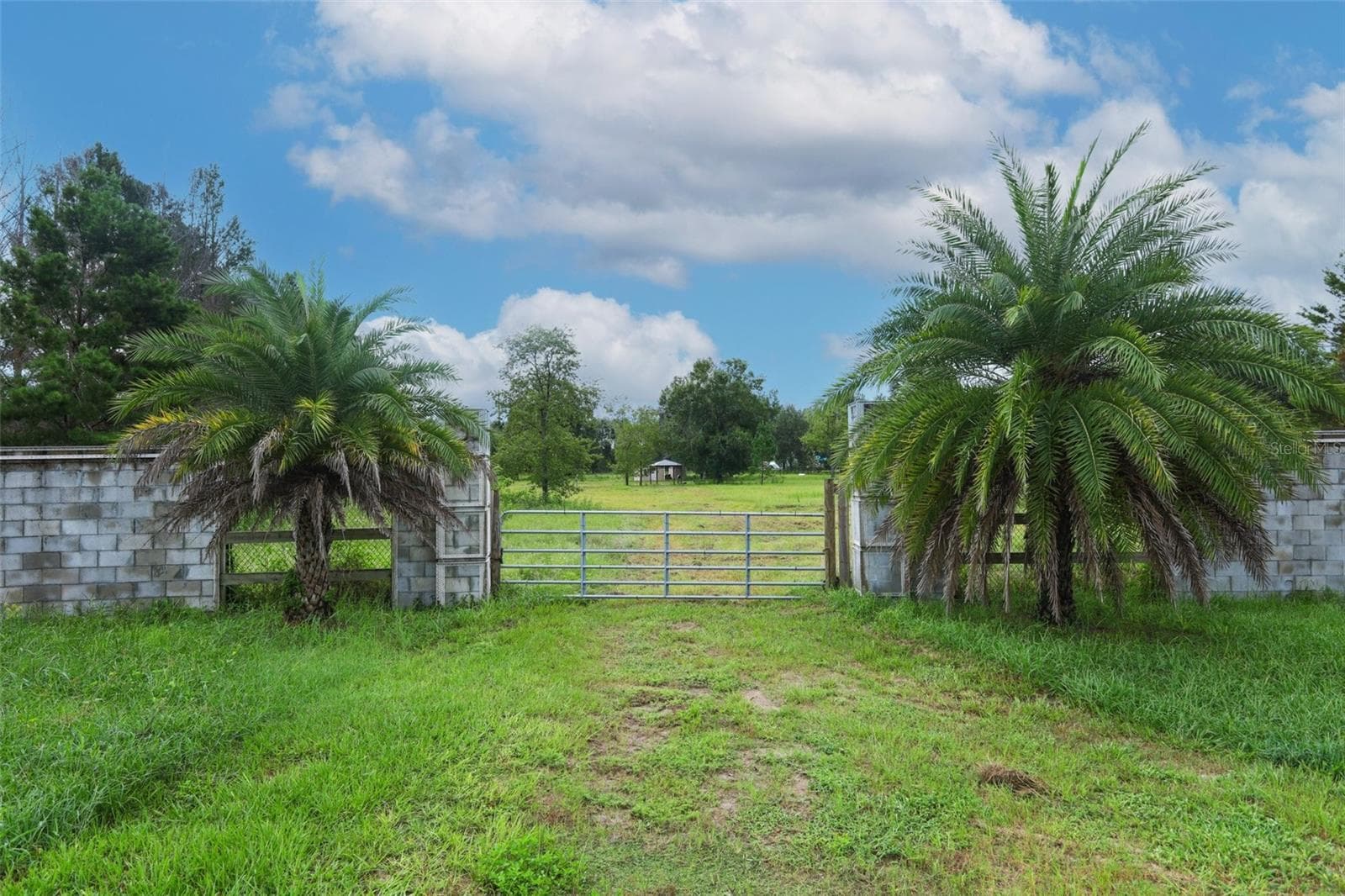 Entrance to the lot - 34534 TREE FROG LN, EUSTIS