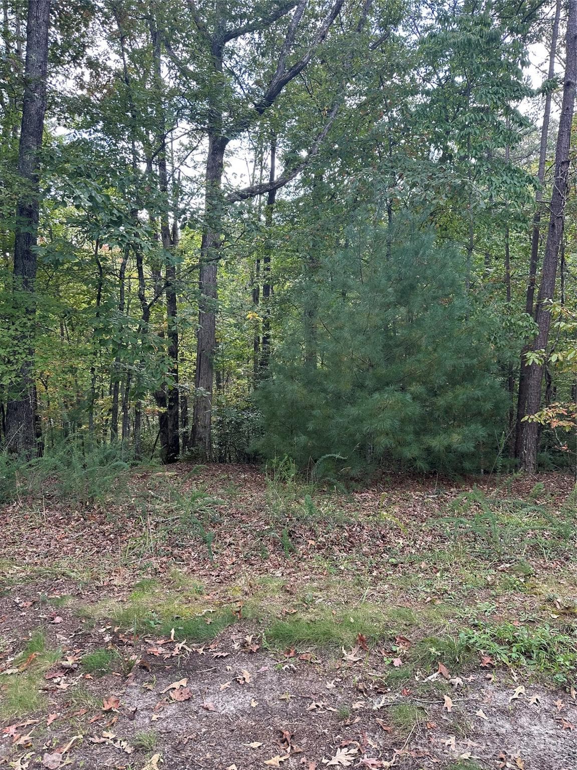 Acreage at 00 Pleasant Hill Road, Franklin, photo 2 of 4
