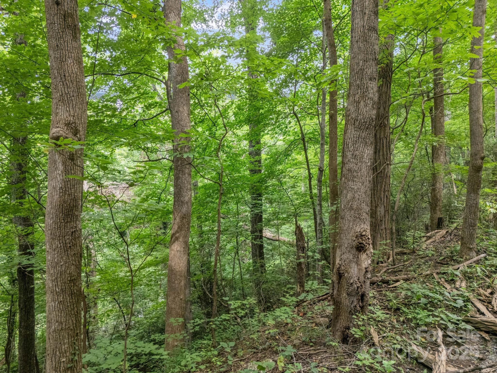 Lot at 00 Mistletoe Park, Lake Lure, photo 2 of 16
