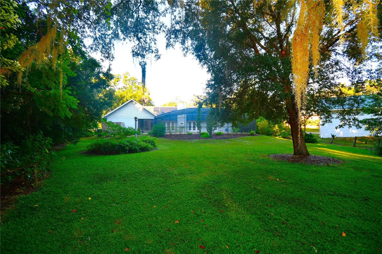 Backyard - 611 OLD EUSTIS RD, MOUNT DORA
