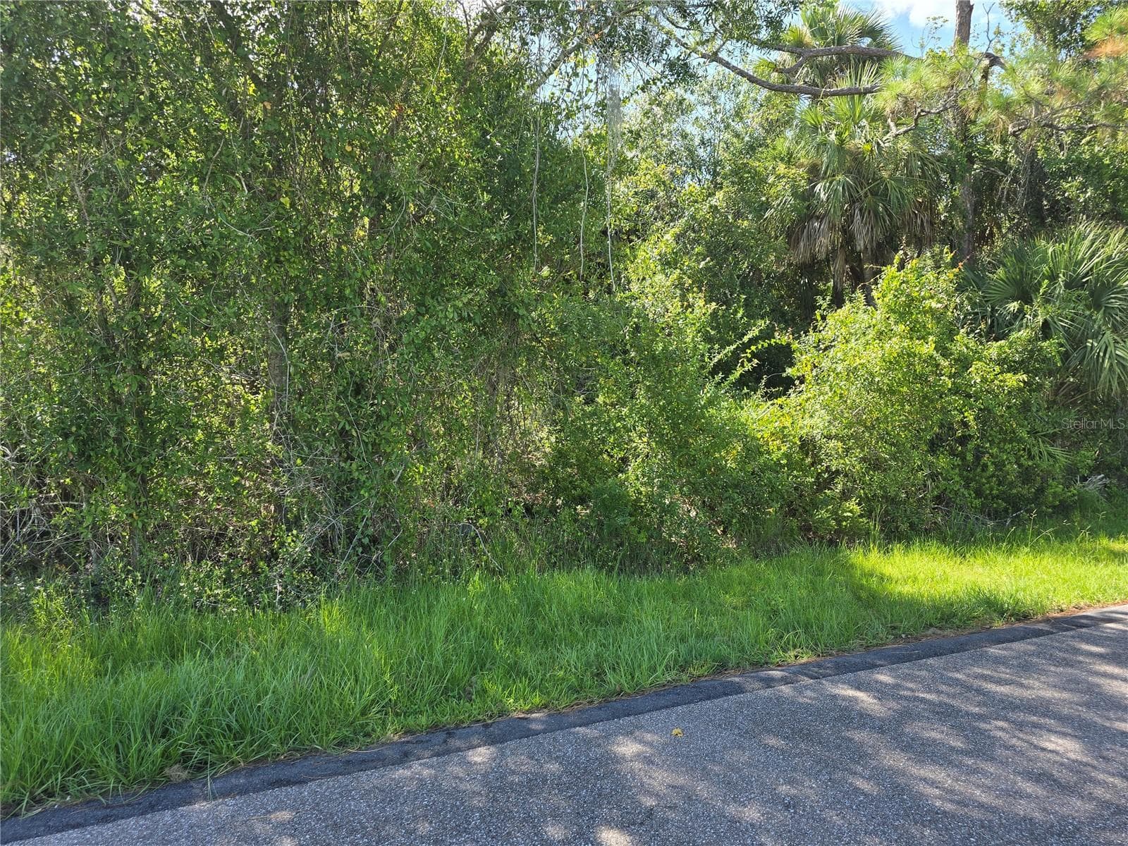 Land at 1235 WESTPORT ST, PORT CHARLOTTE, photo 7 of 16