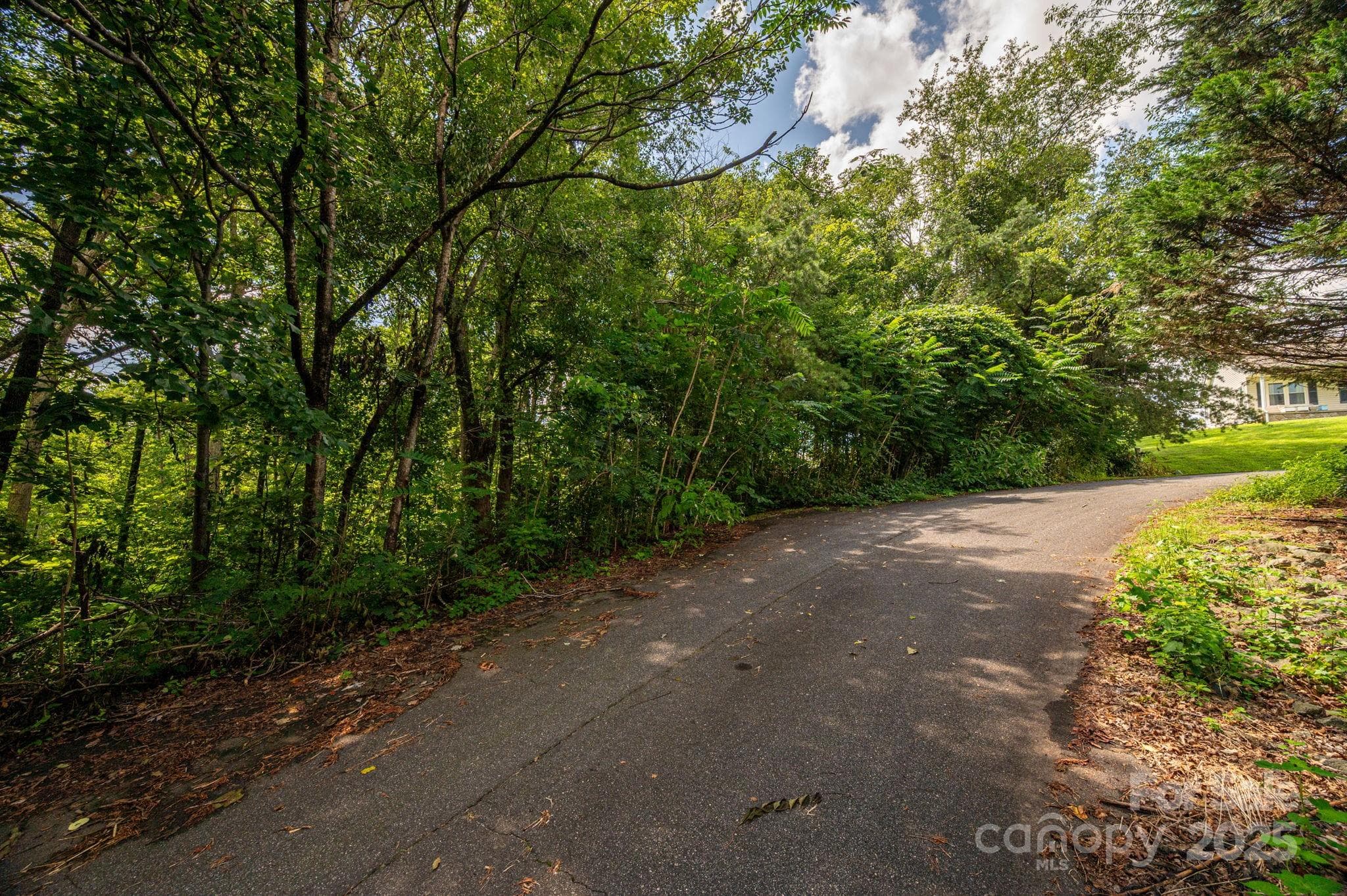 Lot at Lot 19 Line Drive, Forest City, photo 2 of 8