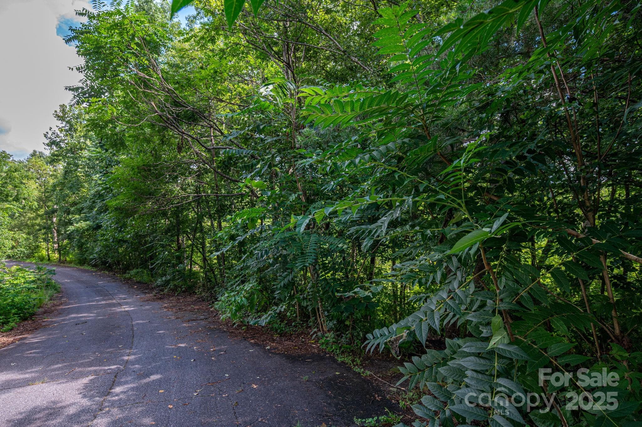 Lot at Lot 19 Line Drive, Forest City, photo 4 of 8