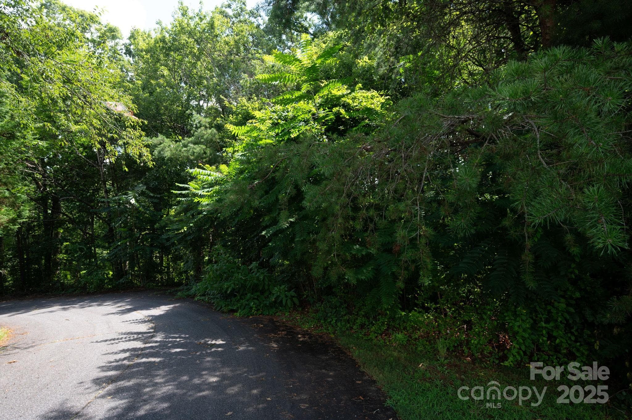 Lot at Lot 20 Line Drive, Forest City, photo 4 of 9