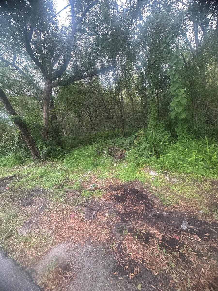 Land at 6117 CORNELIA AVE, ORLANDO, photo 2 of 8