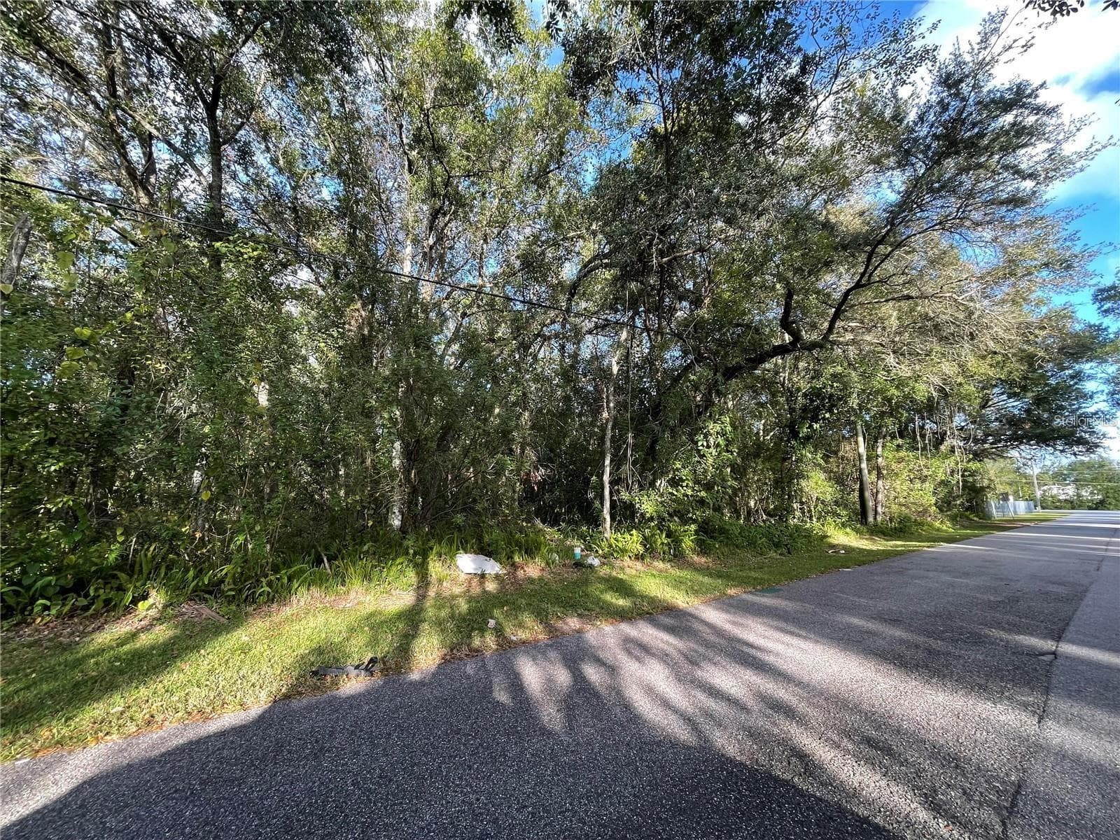 Land at 6117 CORNELIA AVE, ORLANDO, photo 4 of 8