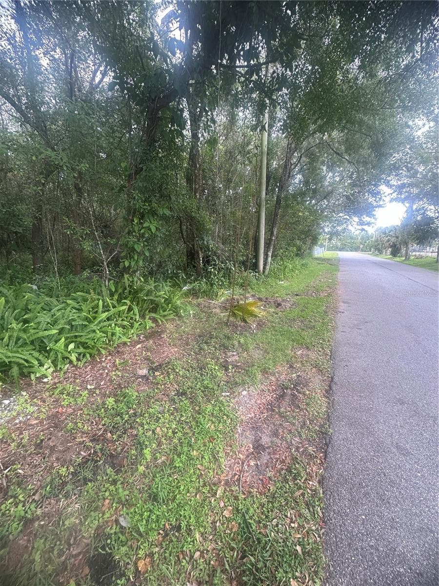Land at 6117 CORNELIA AVE, ORLANDO, photo 8 of 8