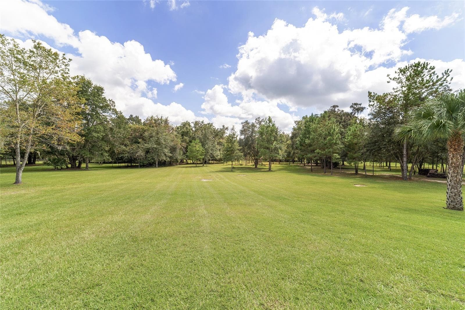 Farm at 15600 NW 185TH ST, WILLISTON, photo 83 of 97