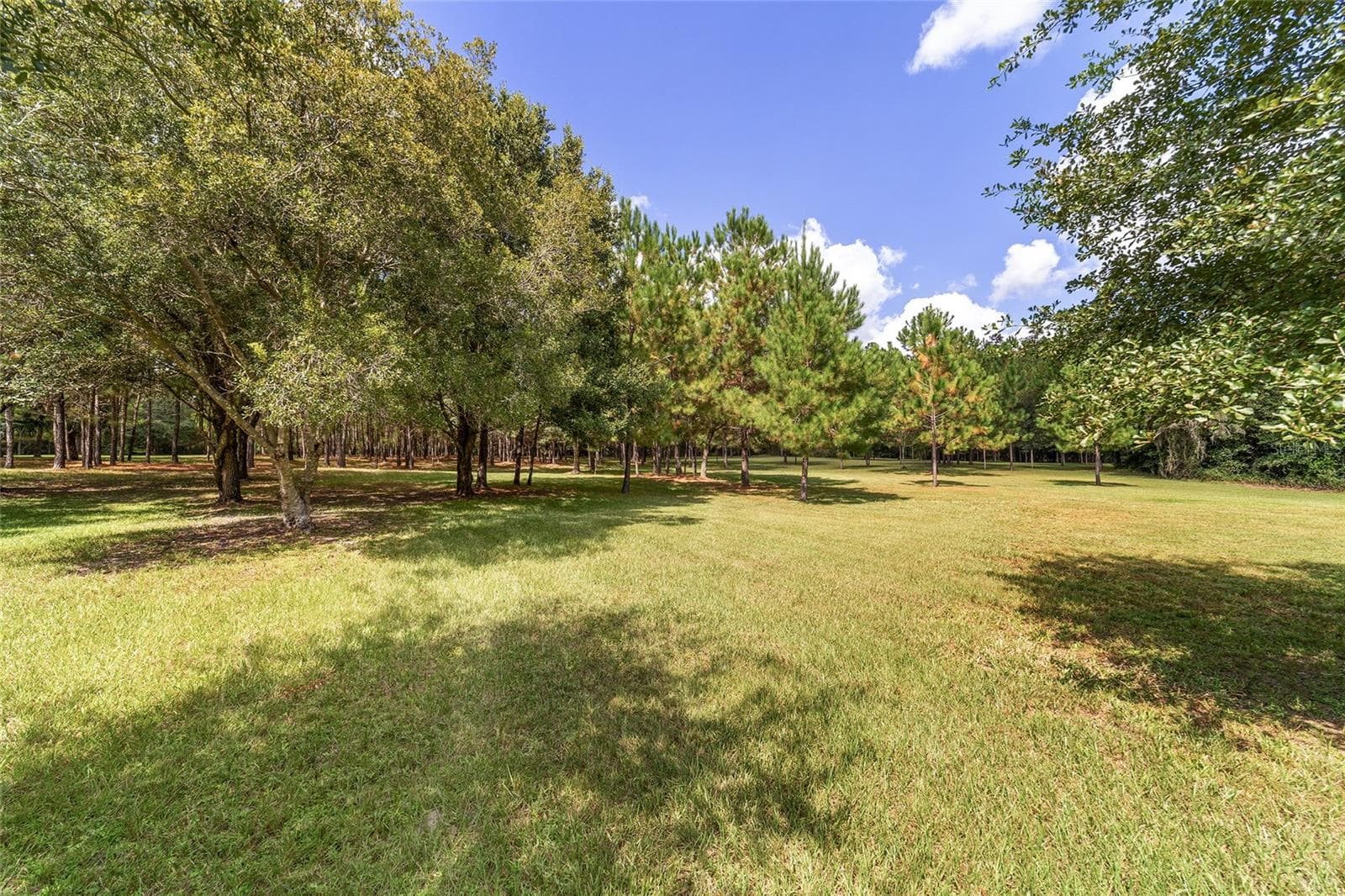 Farm at 15600 NW 185TH ST, WILLISTON, photo 91 of 97