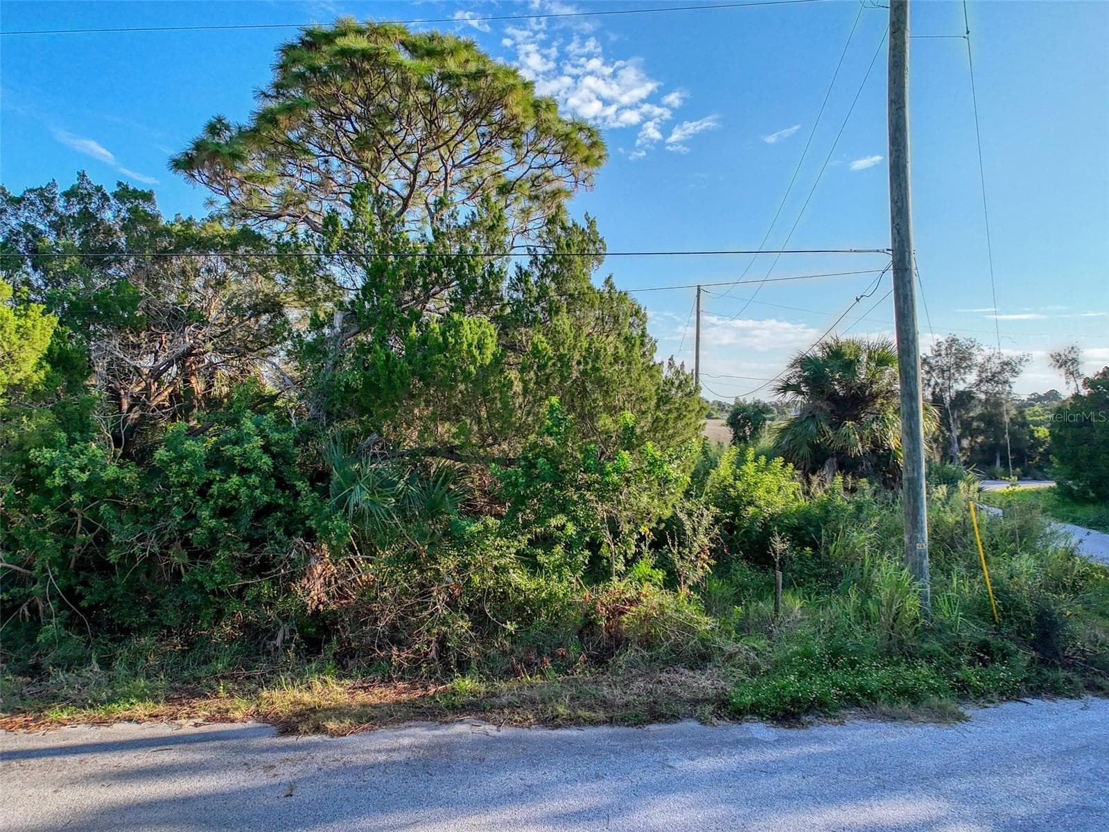Land at lot 12 NOWIKI AVE, HUDSON, photo 17 of 20