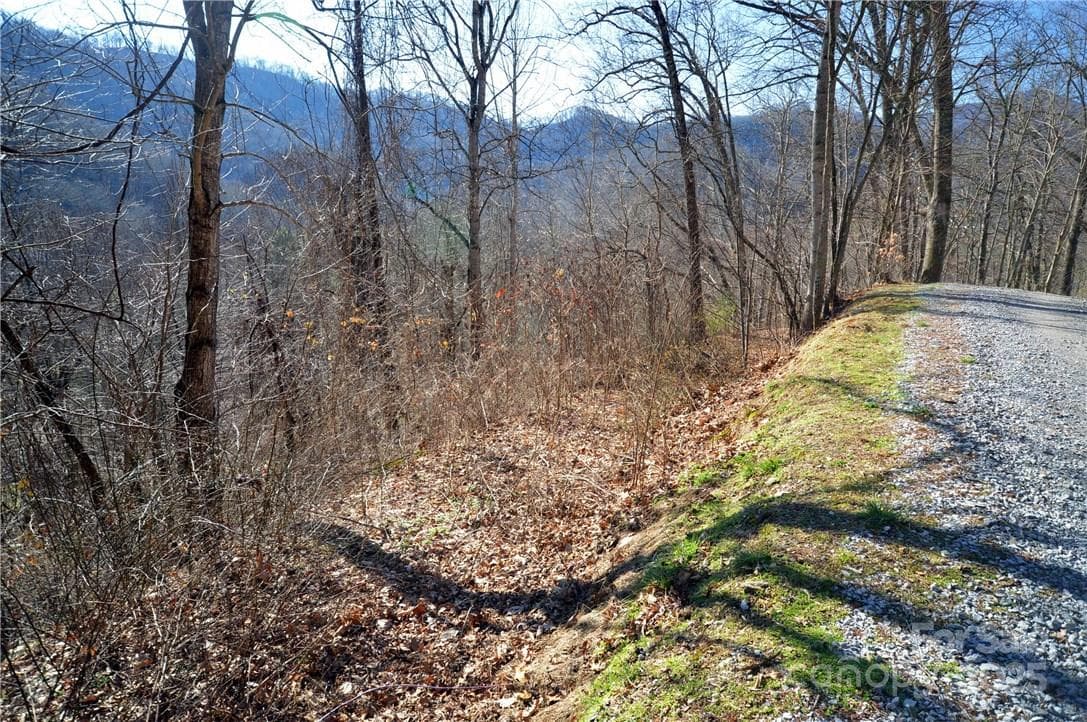 Drive to house pad on the left, Lochmoor Lane on the right - Waynesville