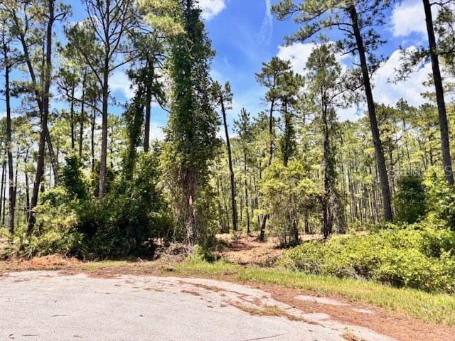 Land at CHINABERRY WAY, EUSTIS, photo 2 of 4