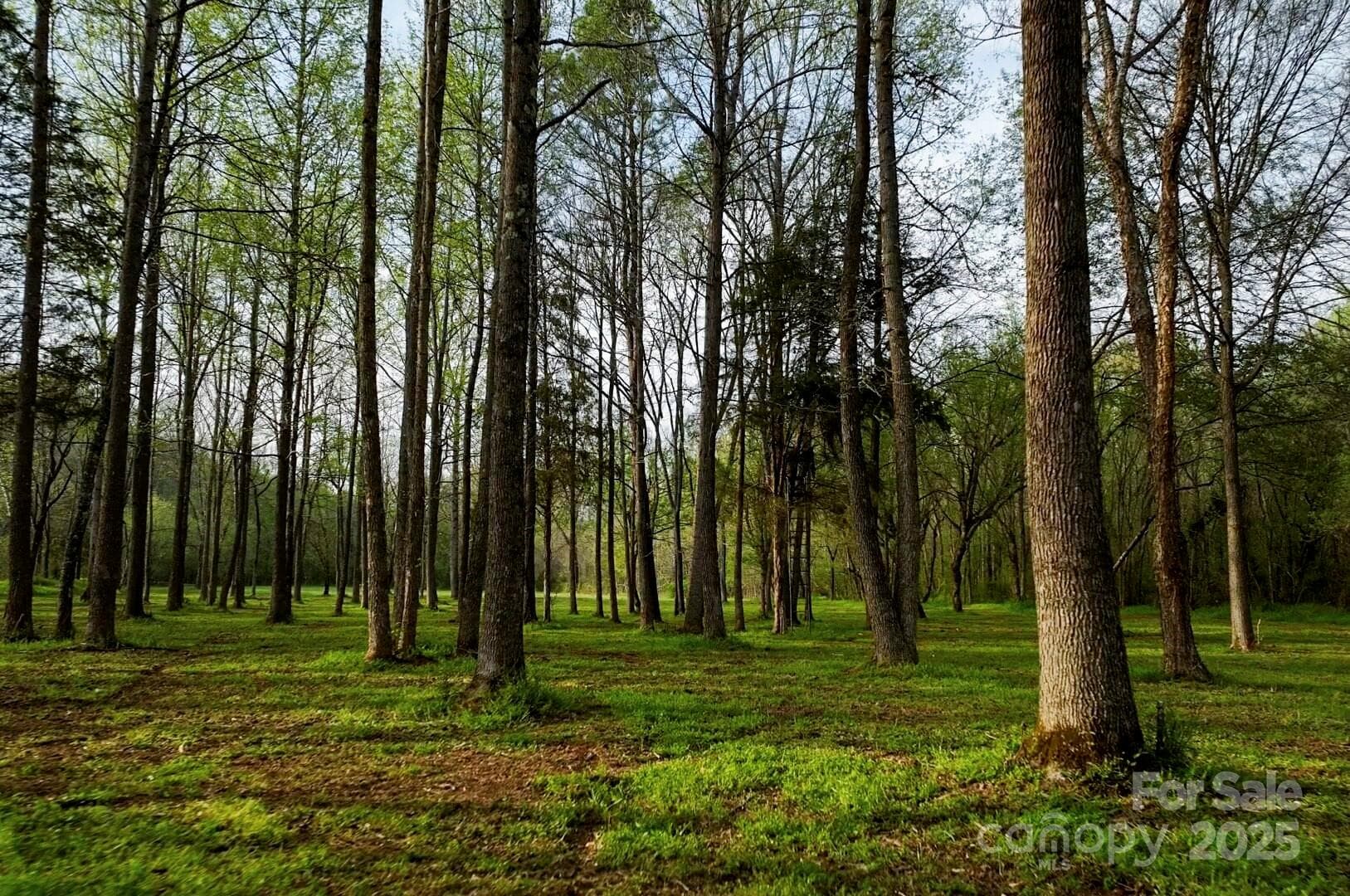 Acreage at Mooresville, photo 17 of 32
