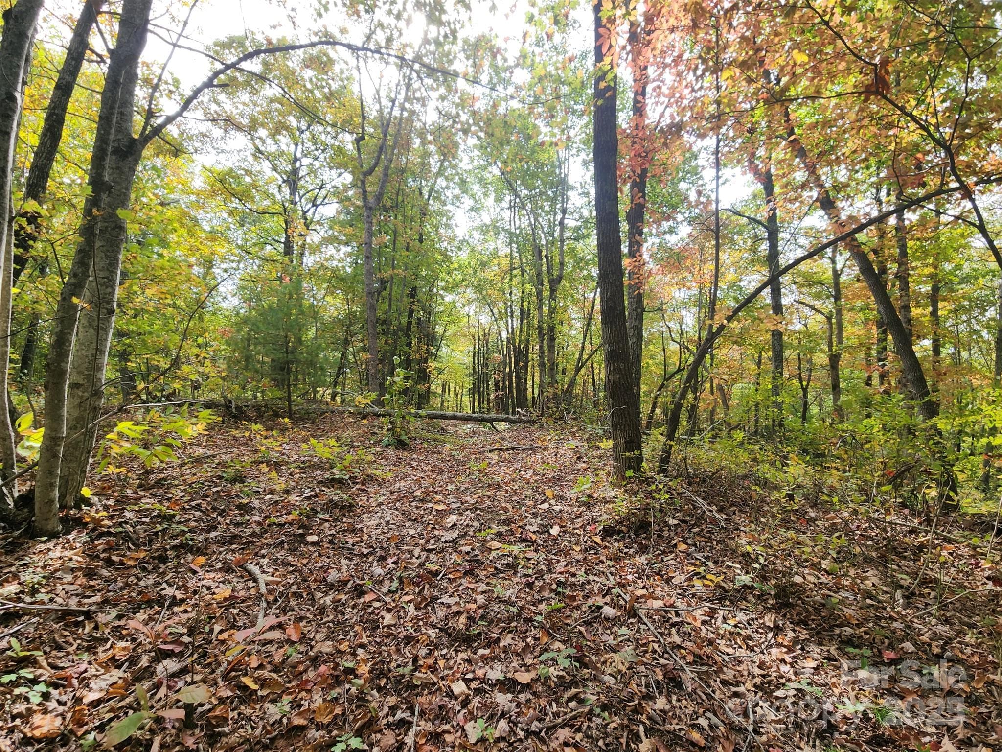 Autumn View - Rough Driveway Cut In - 999999 N Pointe Drive, Zirconia