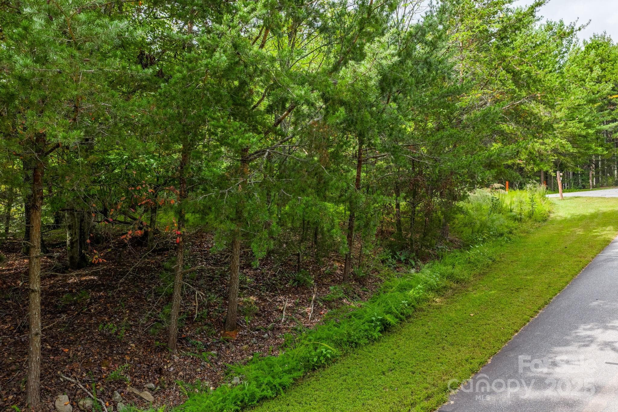 Lot at Nebo, photo 15 of 36