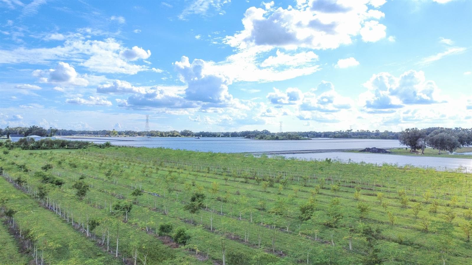 Land at BLANTON ACRES RD, PLANT CITY, photo 7 of 24