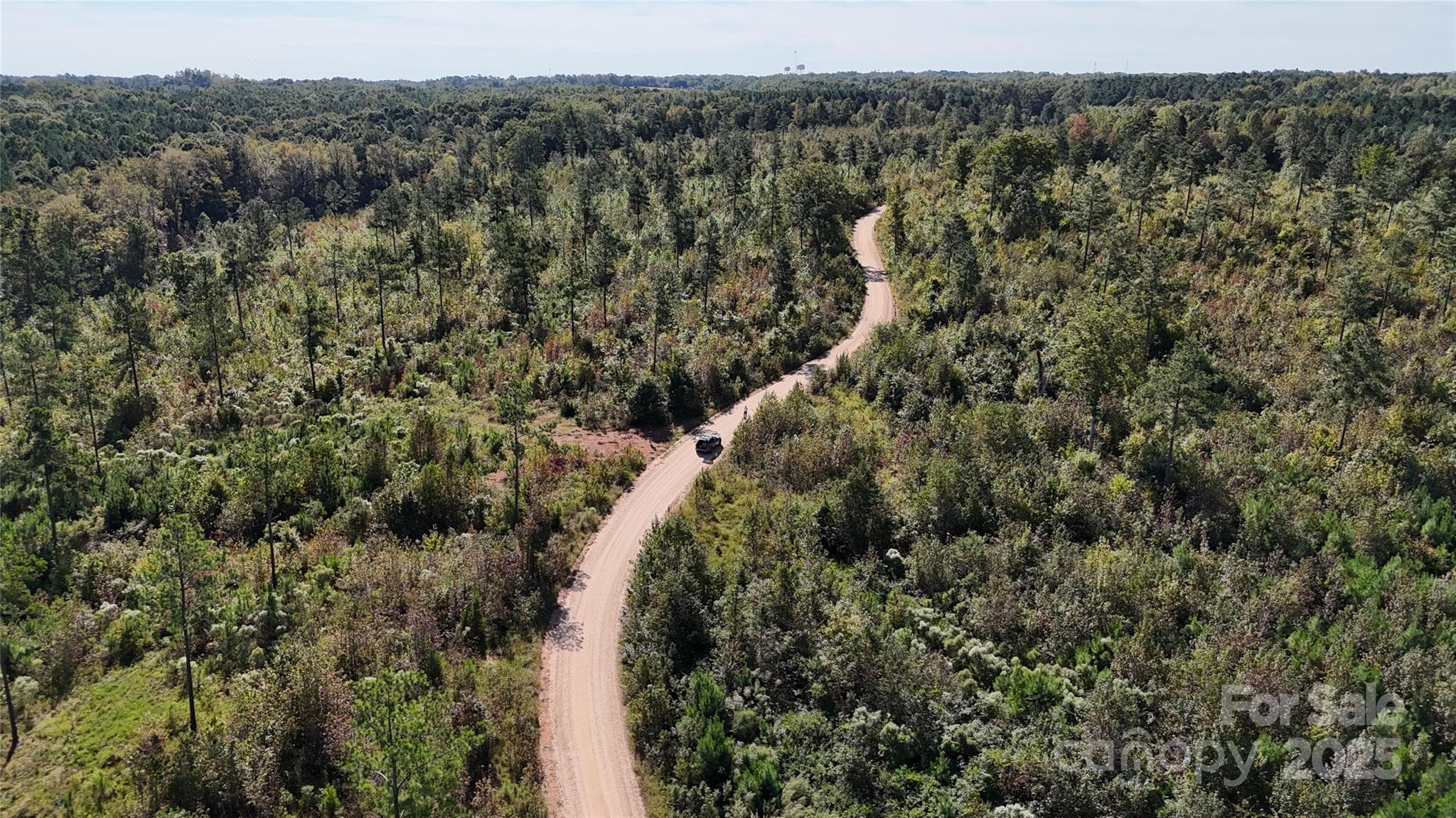 Lot at Lot 25 Farris Cato Road, Pageland, photo 3 of 54