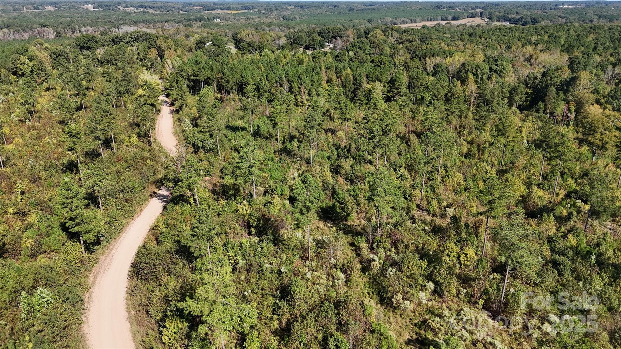 Lot at Lot 25 Farris Cato Road, Pageland, photo 19 of 54