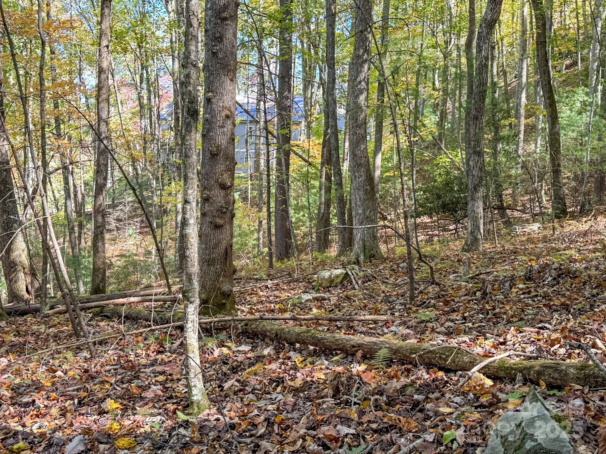Lot at Arden, photo 3 of 25
