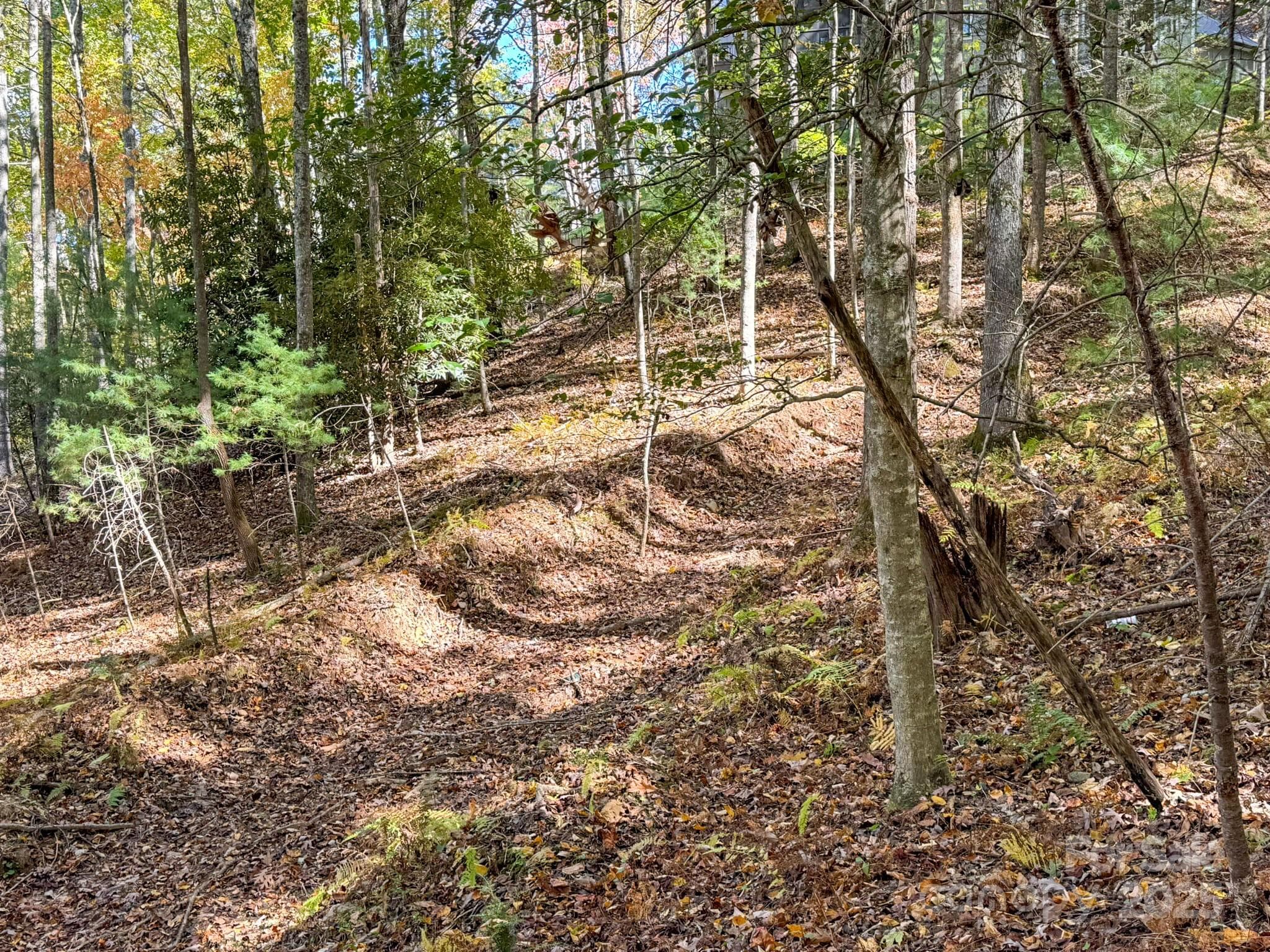 Lot at Arden, photo 11 of 25