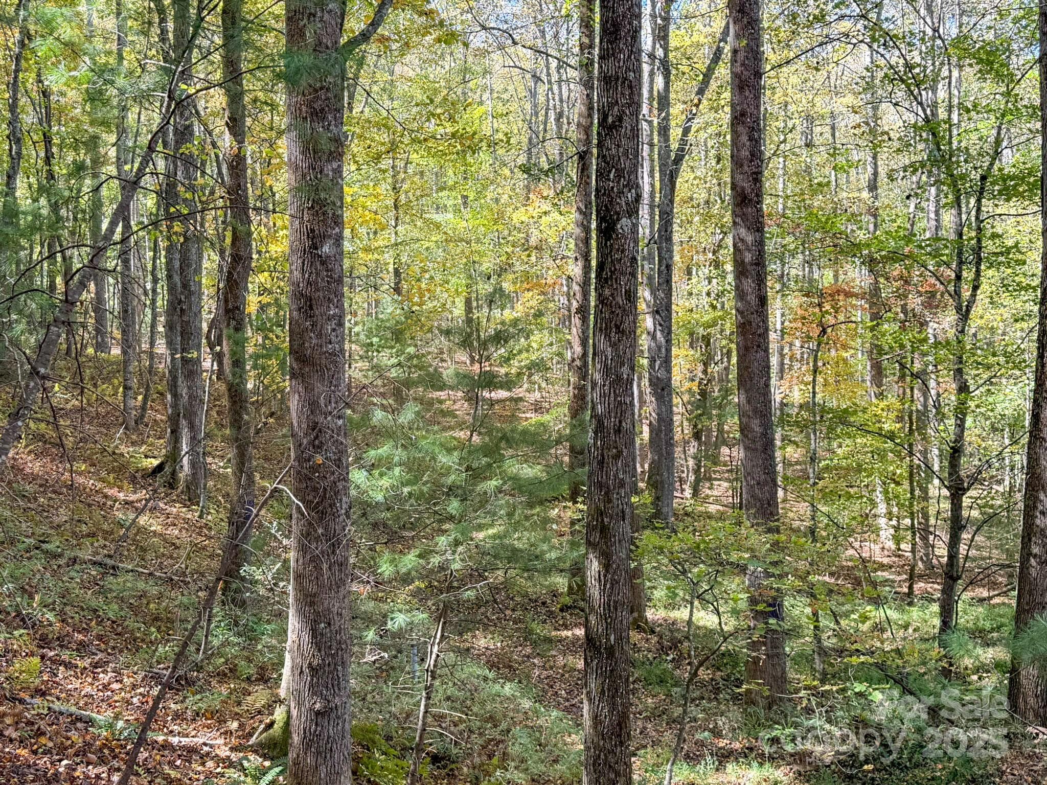 Lot at Arden, photo 12 of 25